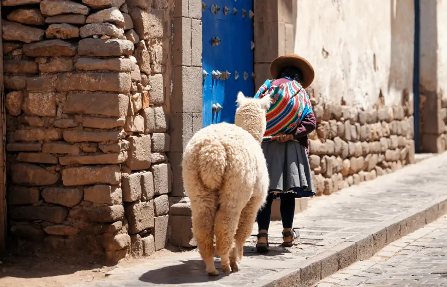 Acclimatization Package