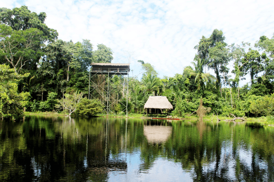 Photo of a shack in the Peruvian jungle and near the amazon river.