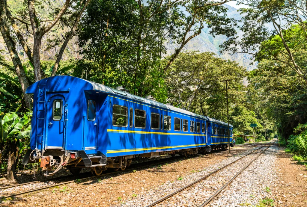 Una foto de un tren hacia Machu Picchu en medio de los árboles.
